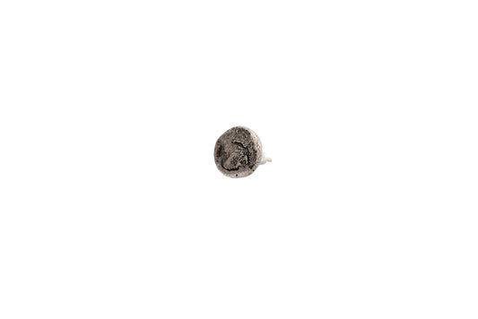 The Heart Pierce