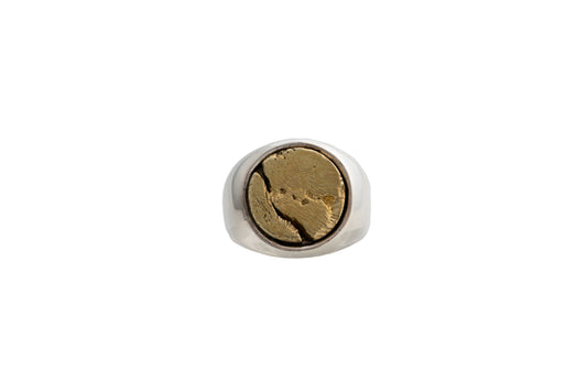 The Coin I.